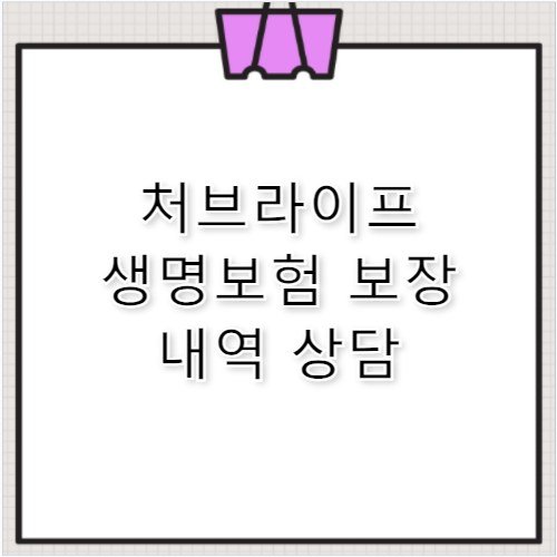 처브라이프 생명보험 보장 내역 고객센터 전화번호 안내