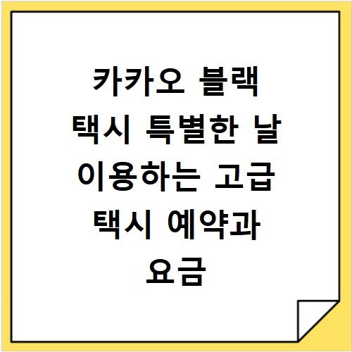 카카오 블랙 택시 특별한 날 이용하는 고급 택시 예약과 요금