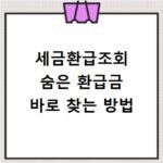 세금환급조회 숨은 환급금 바로 찾는 방법