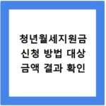 청년월세지원금 신청 방법 대상 금액 결과 확인