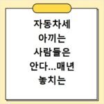자동차세 아끼는 사람들은 안다…매년 놓치는 절세 방법