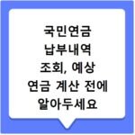 국민연금 납부내역 조회, 예상 연금 계산 전에 알아두세요