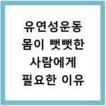 유연성운동 몸이 뻣뻣한 사람에게 필요한 이유