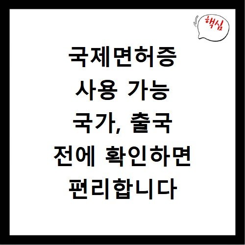 국제면허증 사용 가능 국가, 출국 전에 확인하면 편리합니다