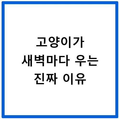 고양이가 새벽마다 우는 진짜 이유